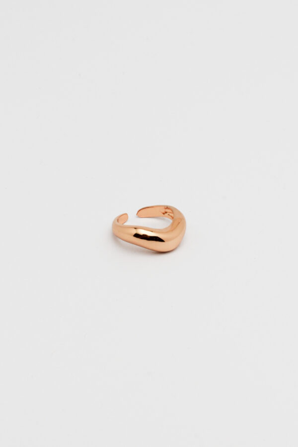 Anel Orgânico G Ouro