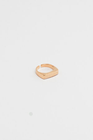 Anel Plaquinha Ajustavel