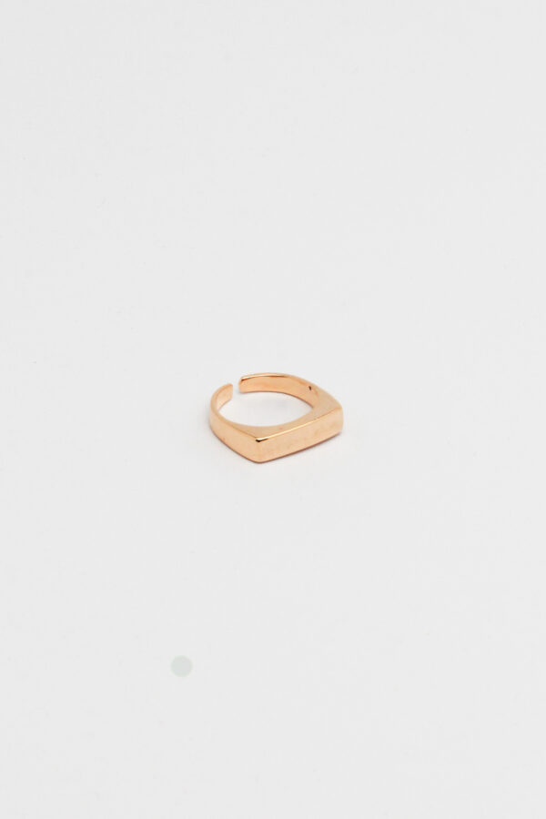 Anel Plaquinha Ajustavel