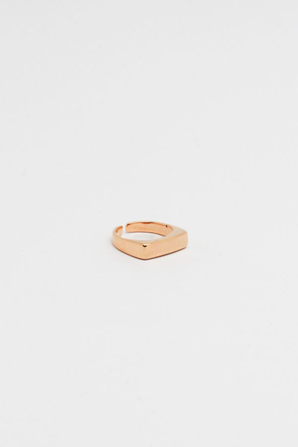 Anel Plaquinha Ajustavel