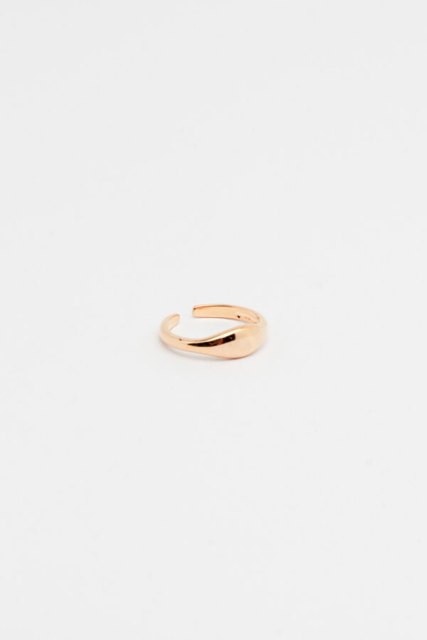 15362424136-verona-19-1.jpg Anel Plaquinha Arredondado Ajustavel